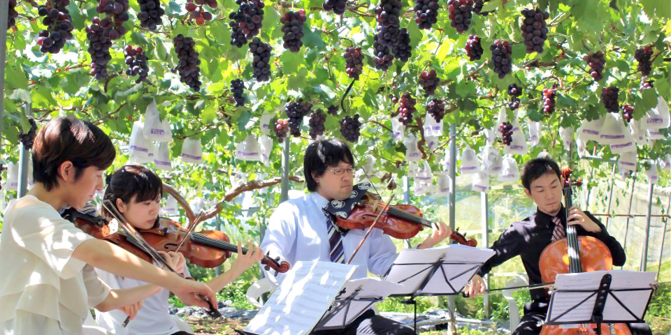 クラシックブドウ浜田農園で行われるイベントのクラシックコンサート
