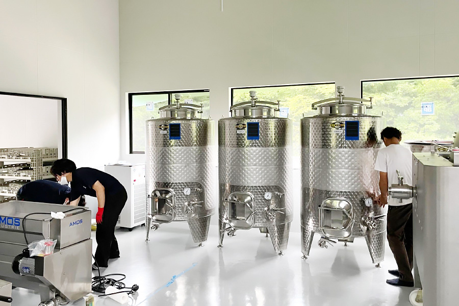 ワイン醸造機械の設置