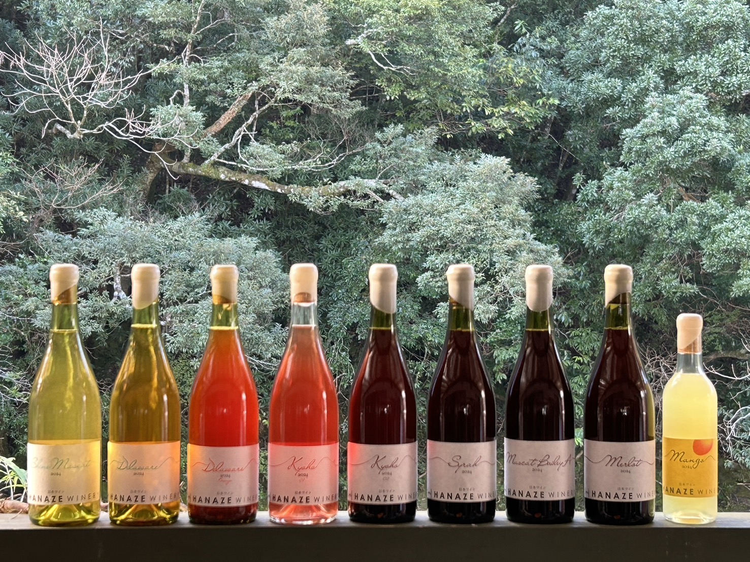 2024年産花瀬ワイン販売開始 | 花瀬ワイナリー